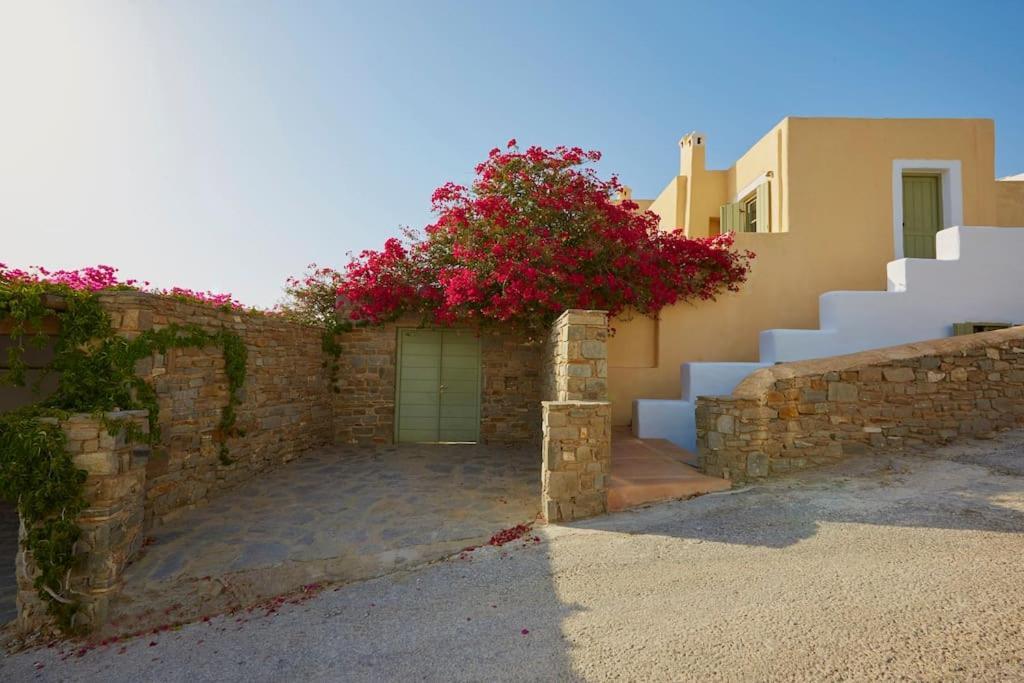 Ochre Dream, Beach Front & Sunset Villa Naousa 외부 사진